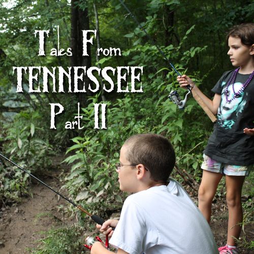 Tales from Tennessee