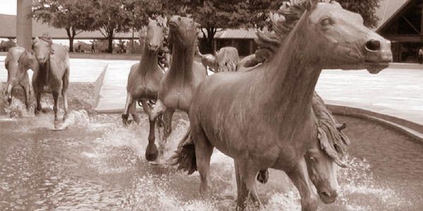 Chapter 7 - Building Williams Square