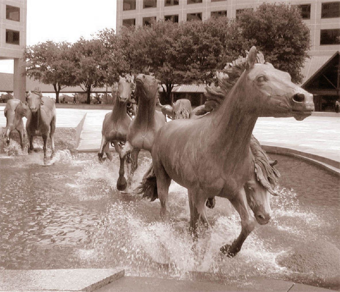 The Mustangs of Las Colinas